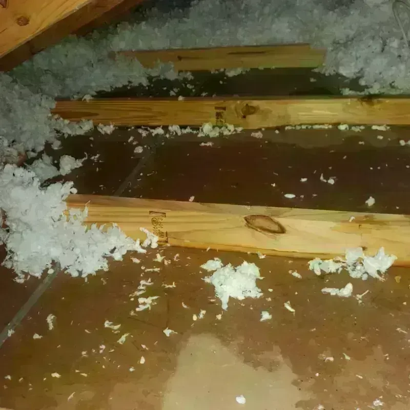 Attic Water Damage in Danville, VA